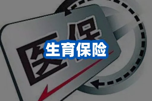 生育保险案例